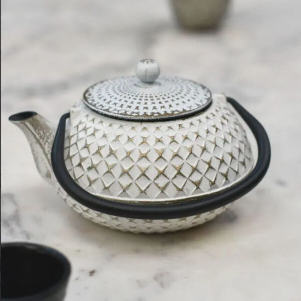 Cast Iron Japanese Teapot - Sobokuna 0.9L